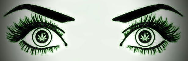 Banner of addypanda