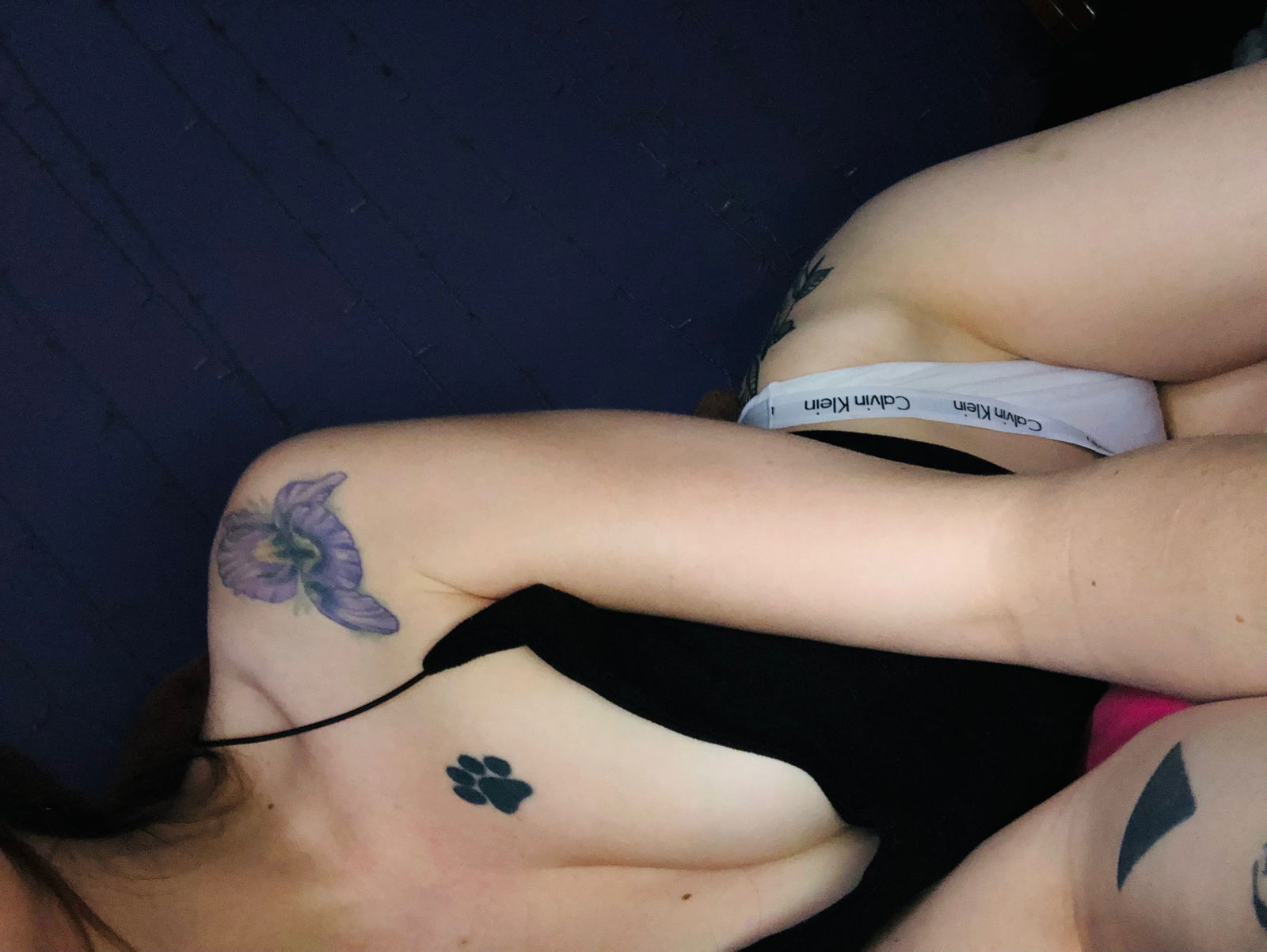 Banner of aliceivy