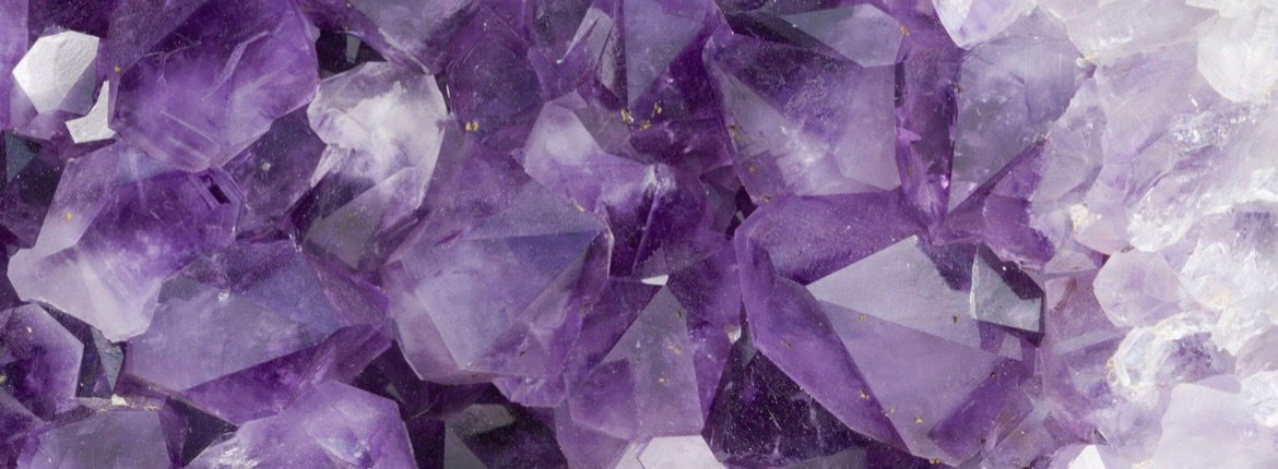 Banner of asianamethyst710