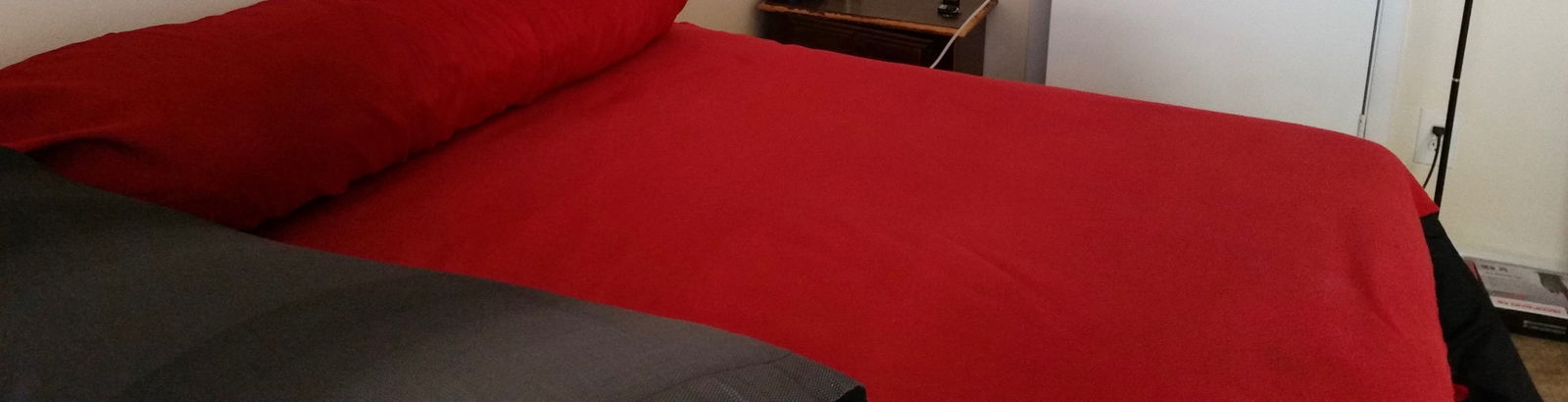 Banner of bdlvr