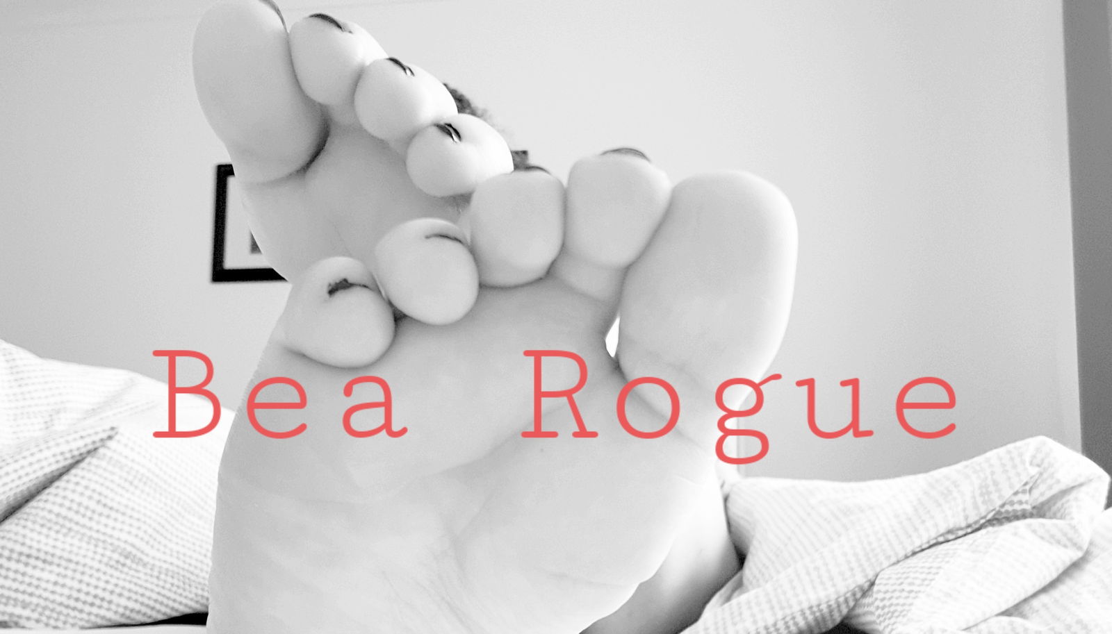Banner of bea-rogue