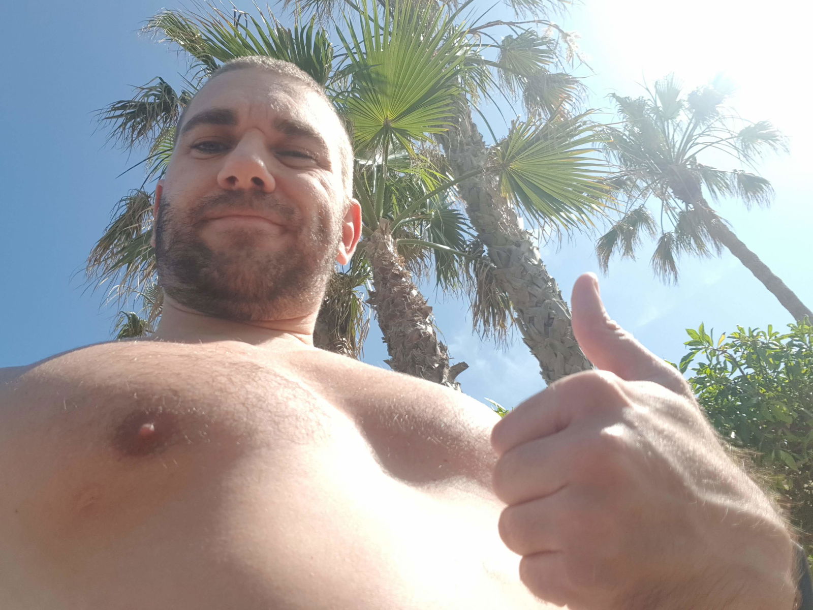 Banner of beefyalex