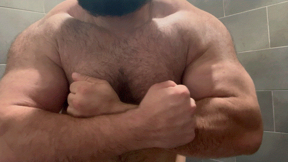 Banner of beefybull