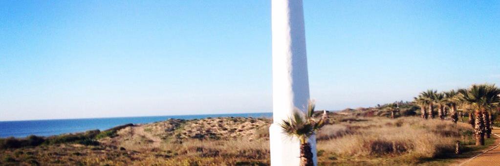 Banner of bertormxx