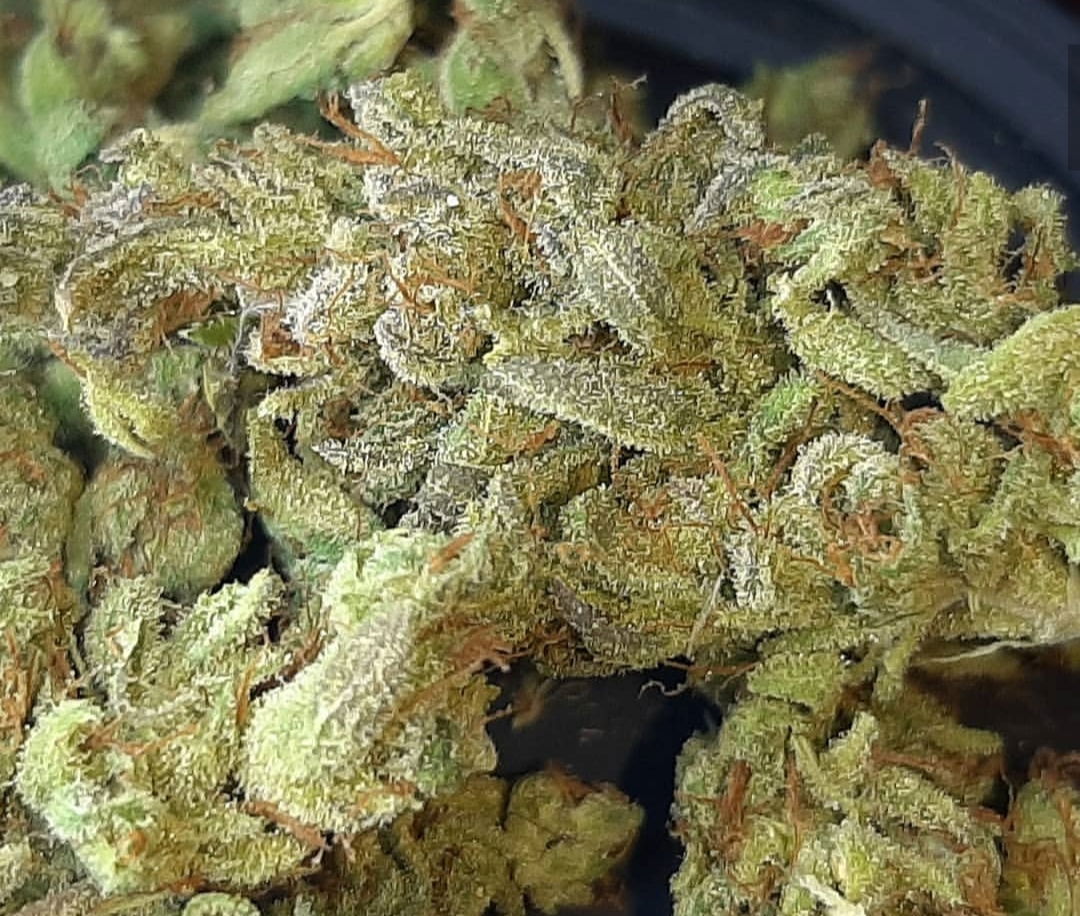 Banner of bigm420