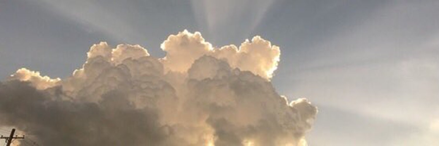 Banner of bloodynosebunny