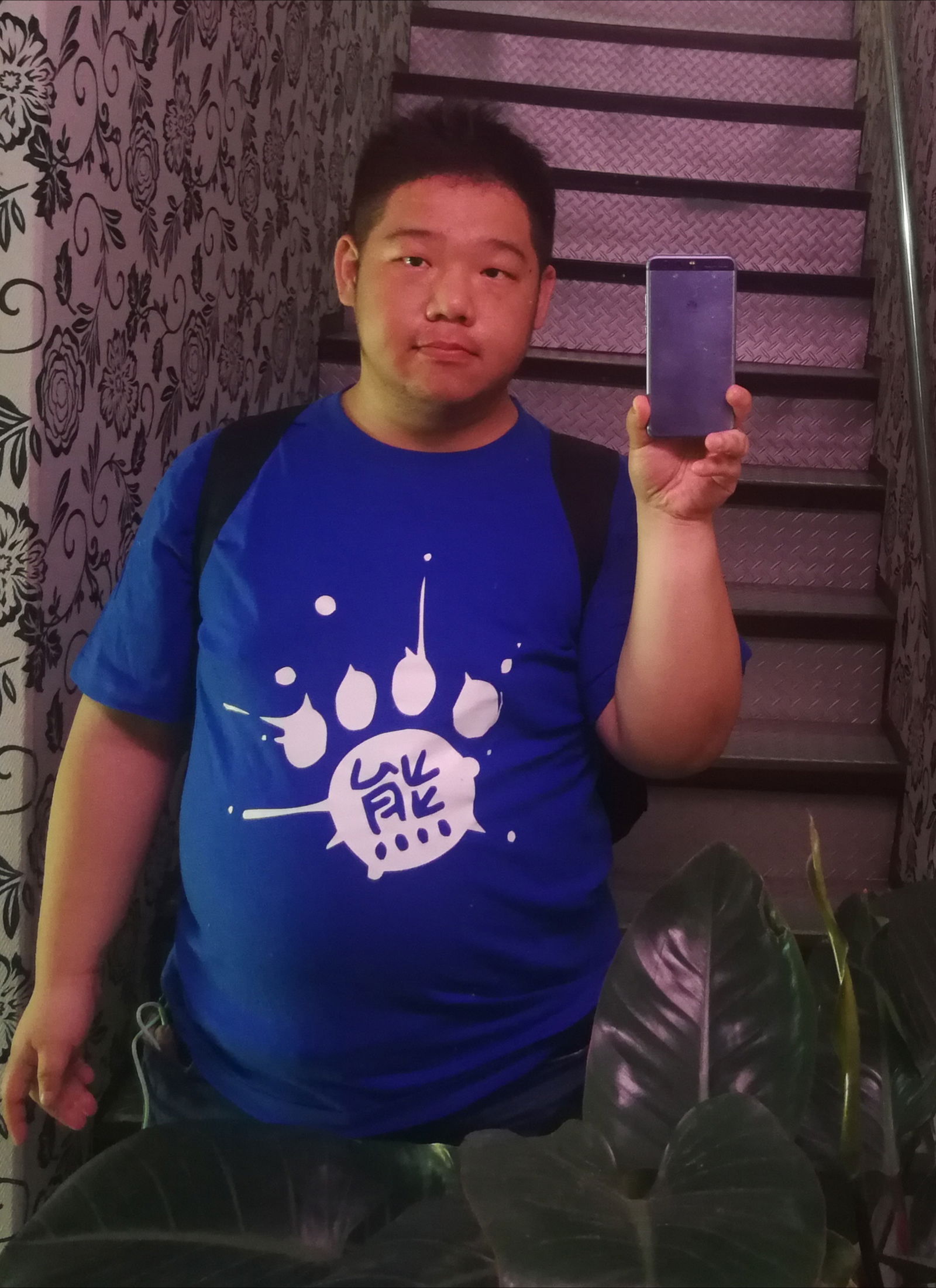 Banner of blue010679