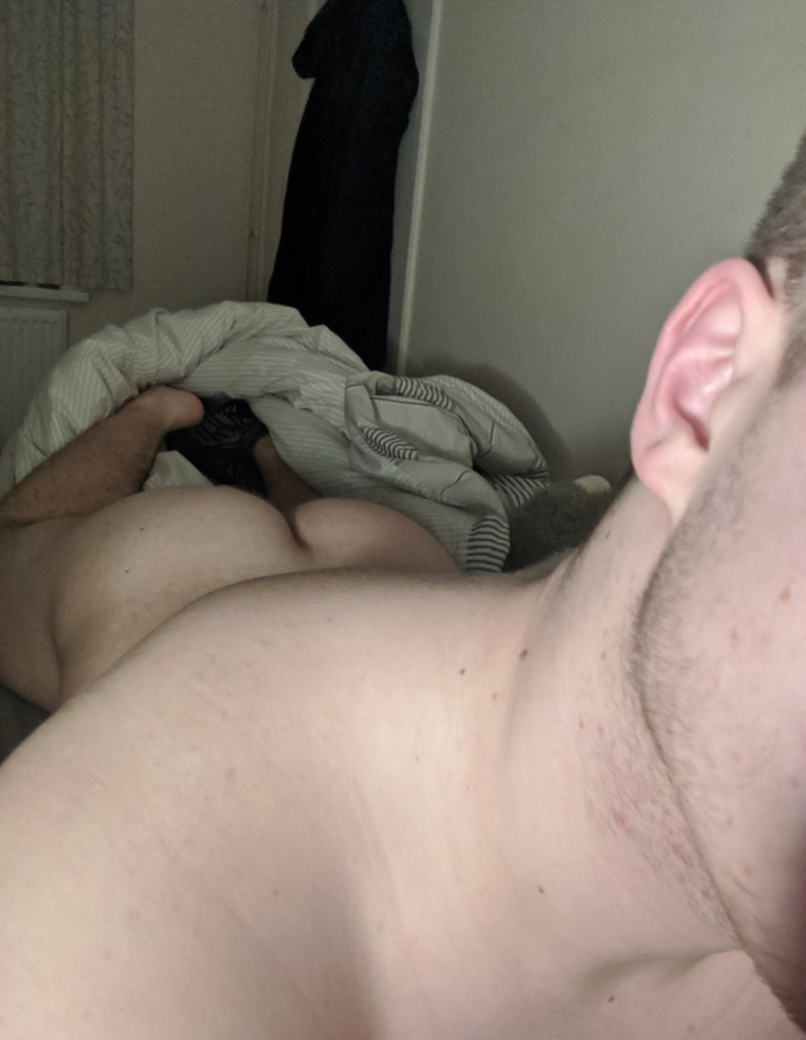 Banner of britishcock01