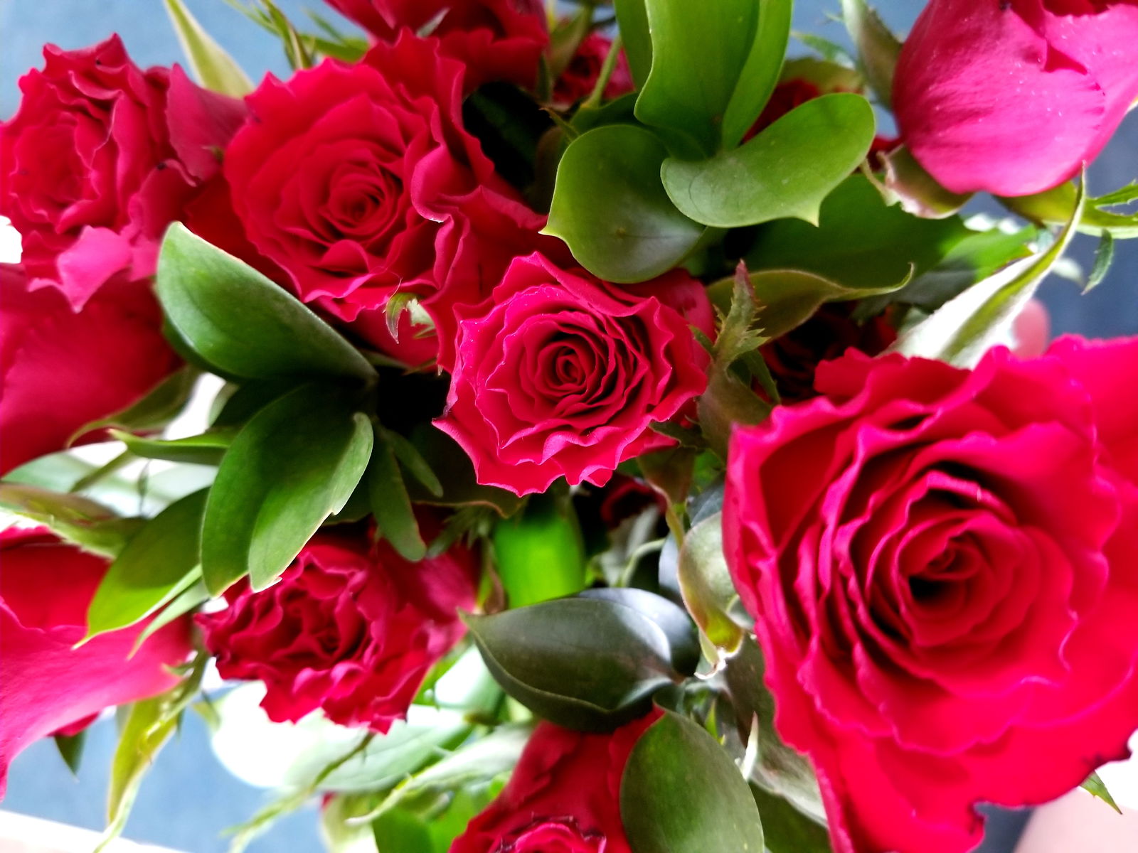 Banner of britzlovesyou