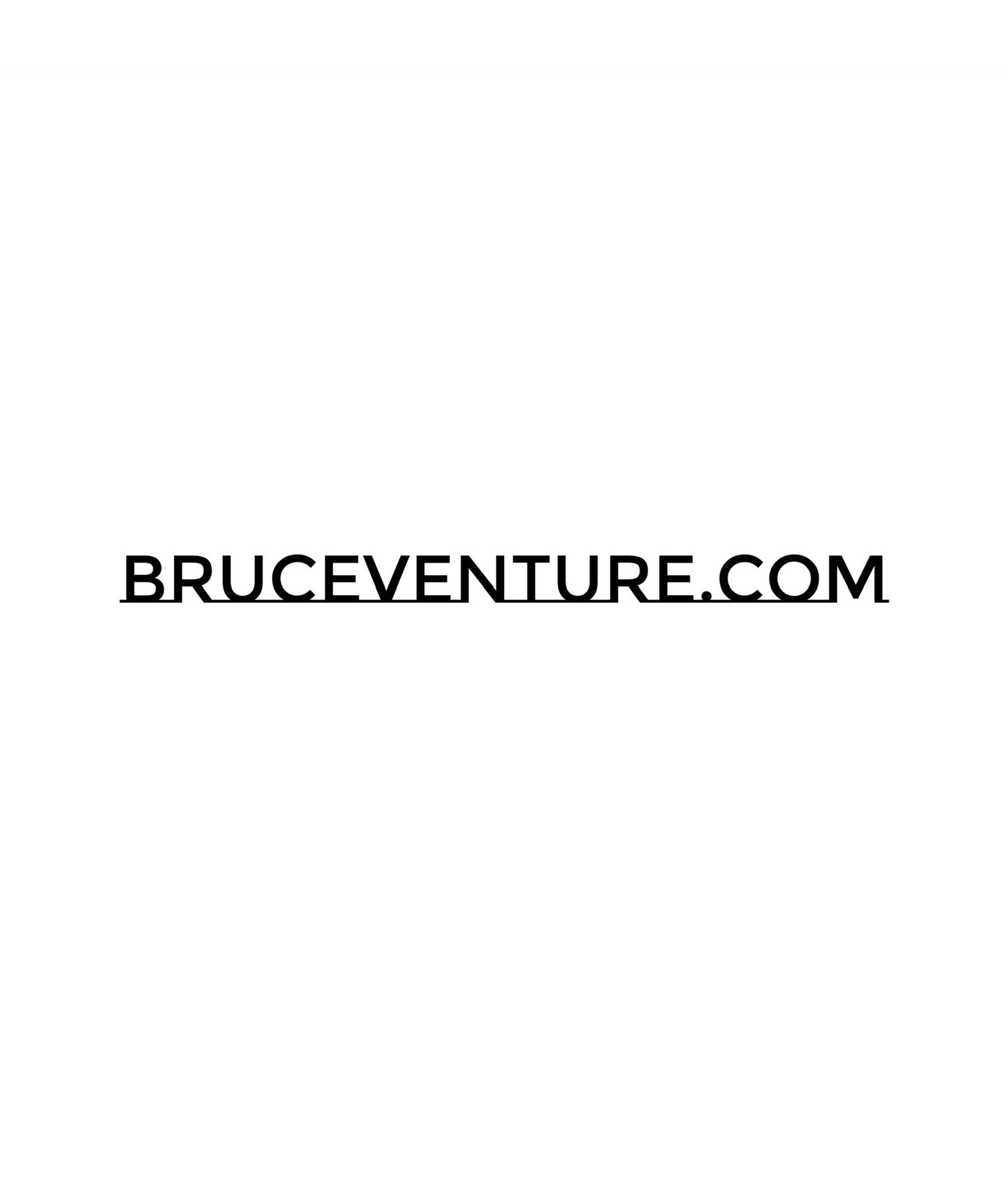 Banner of bruceventure