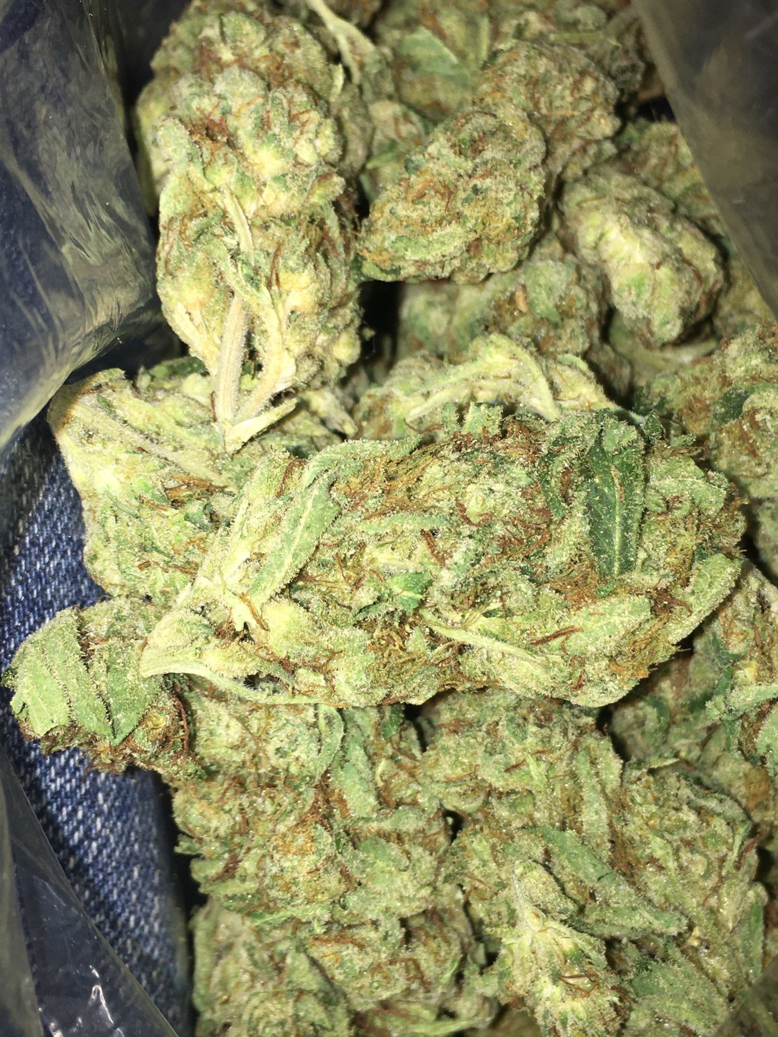 Banner of btkdropz210
