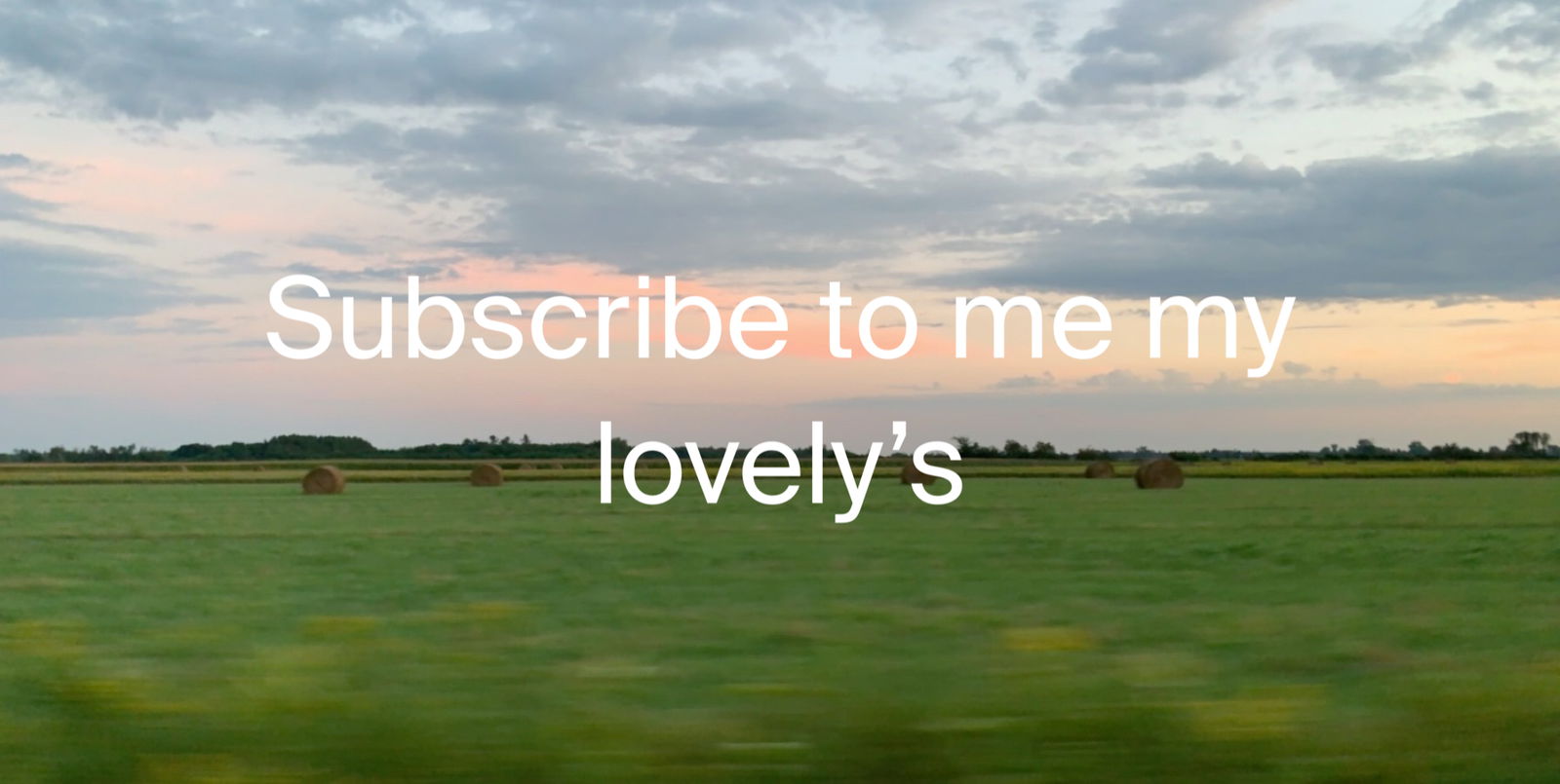 Banner of bustymom19