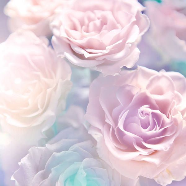 Banner of callmejad3d