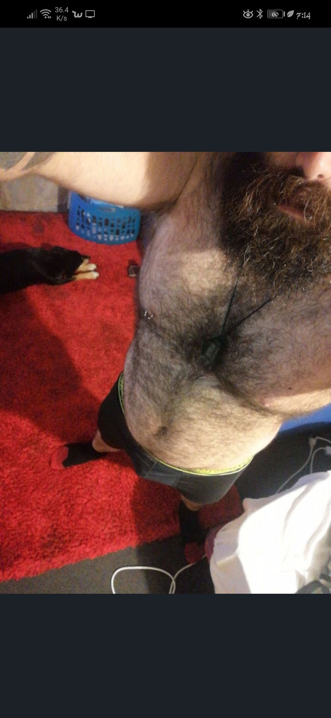 Banner of caveman420420