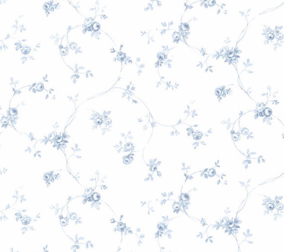 Banner of ccolosall