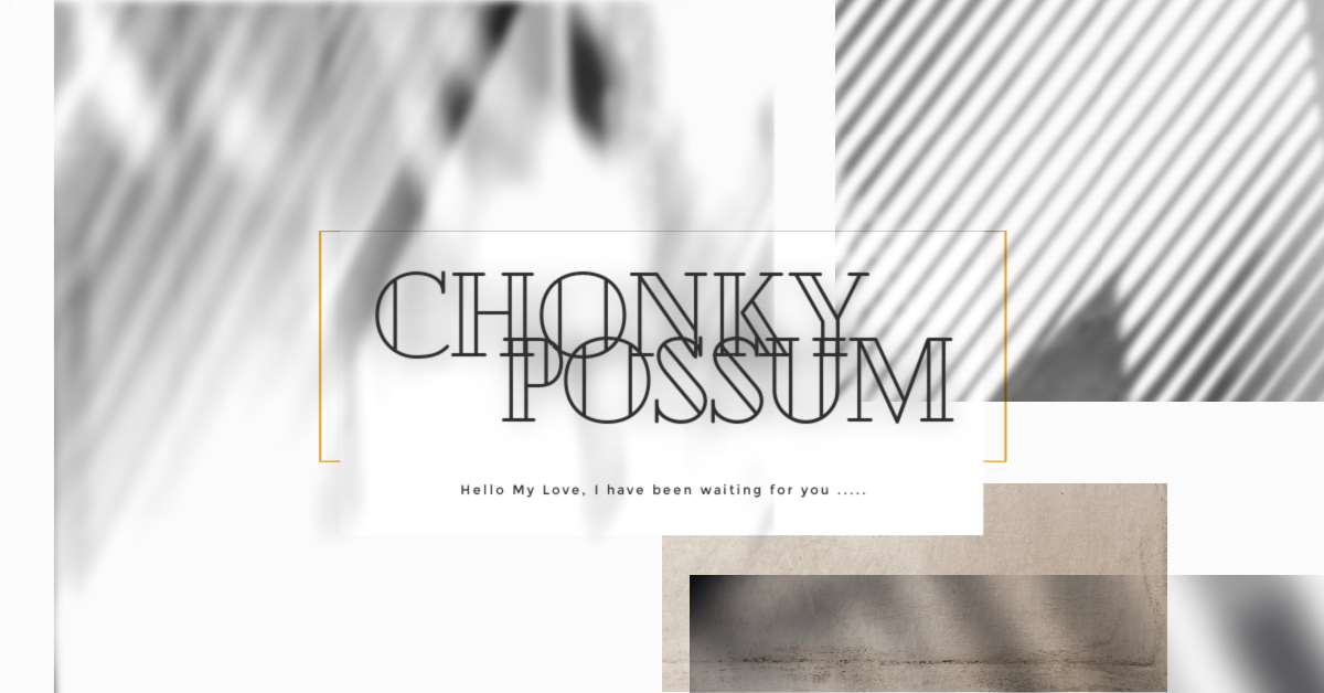 Banner of chonkypossum