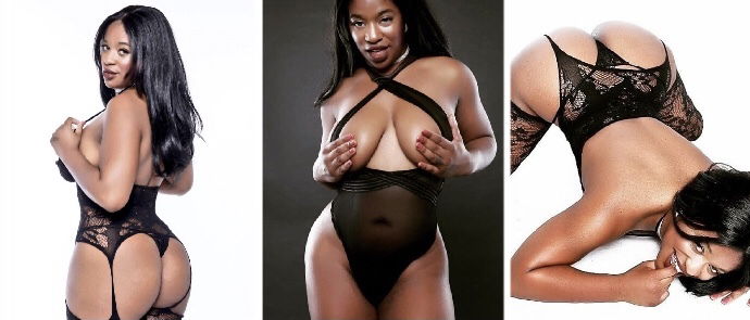 Banner of cocoshea