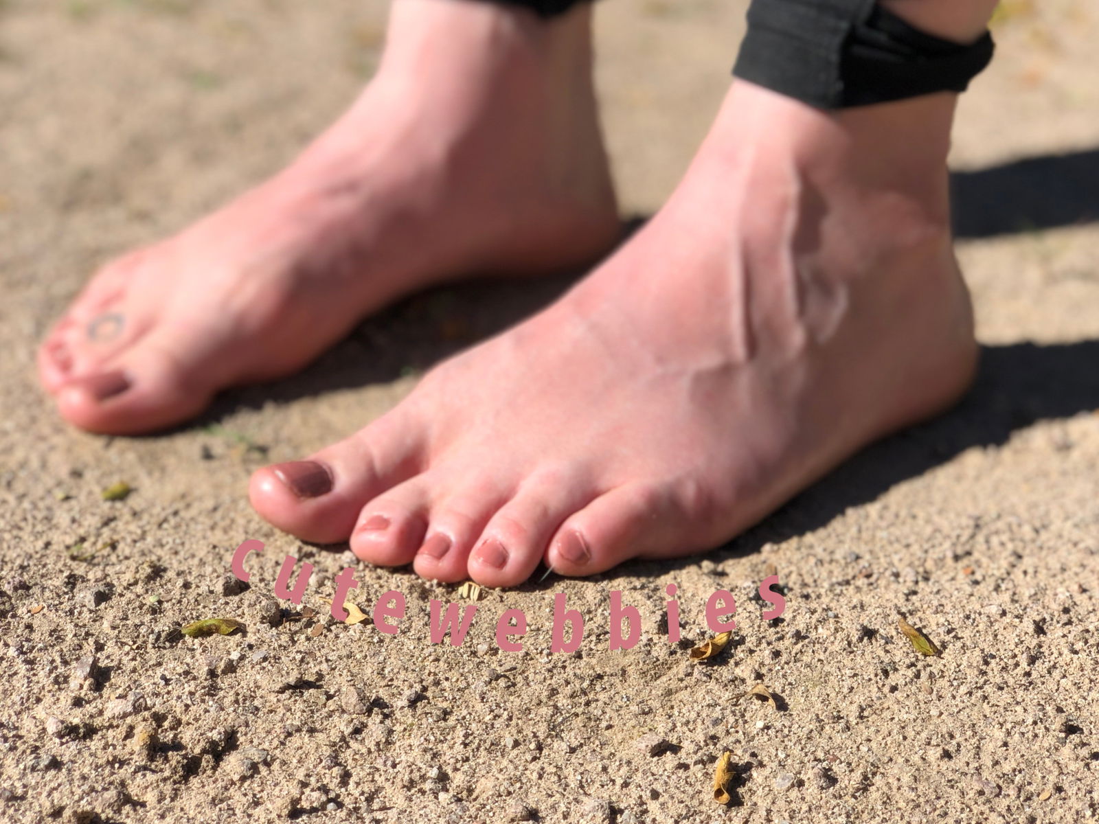 Banner of cutewebbies