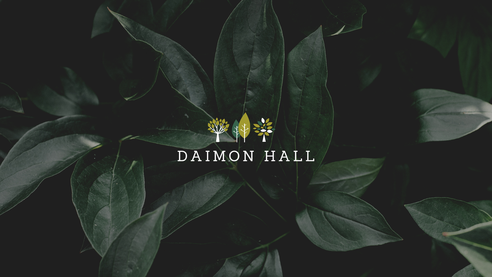 Banner of daimon_hall