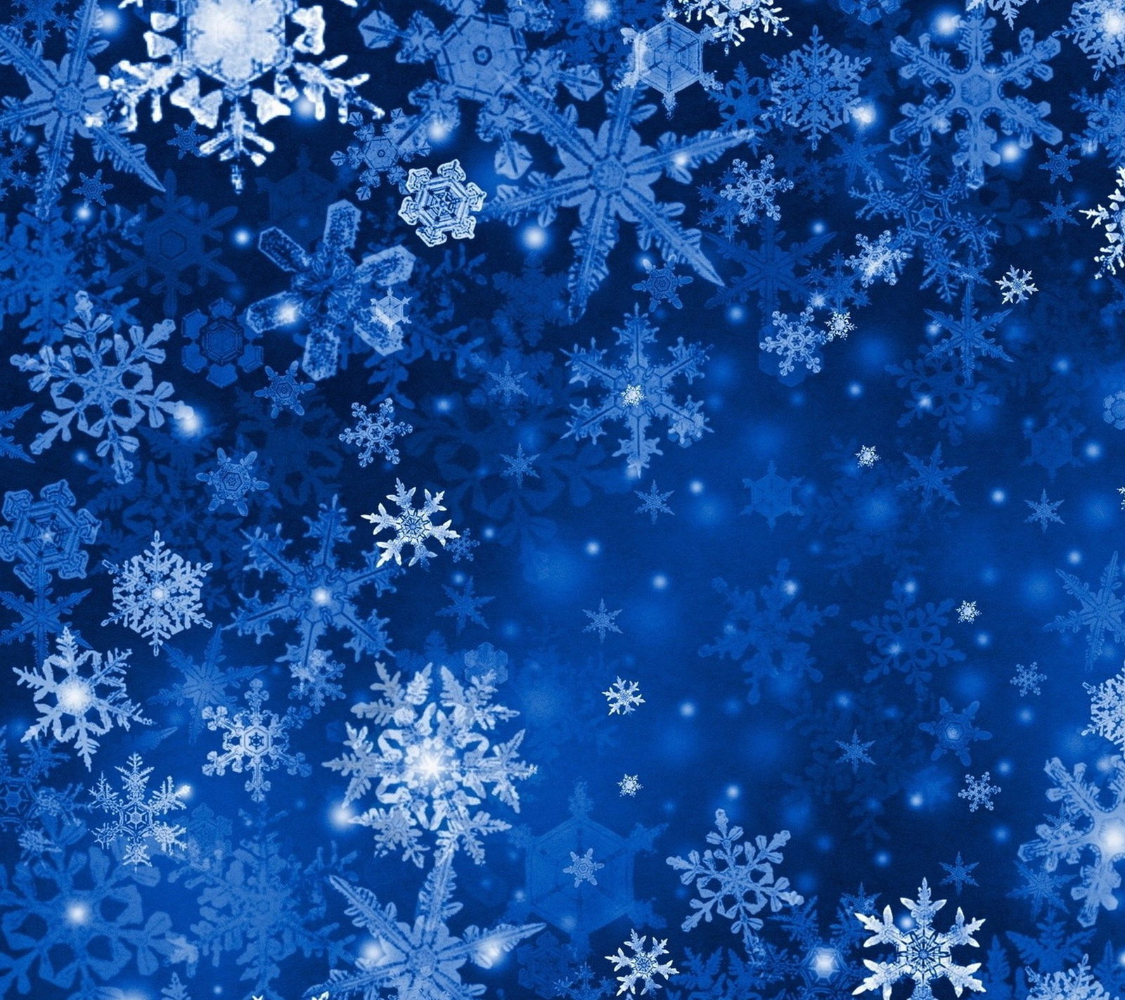 Banner of darlingduchess602