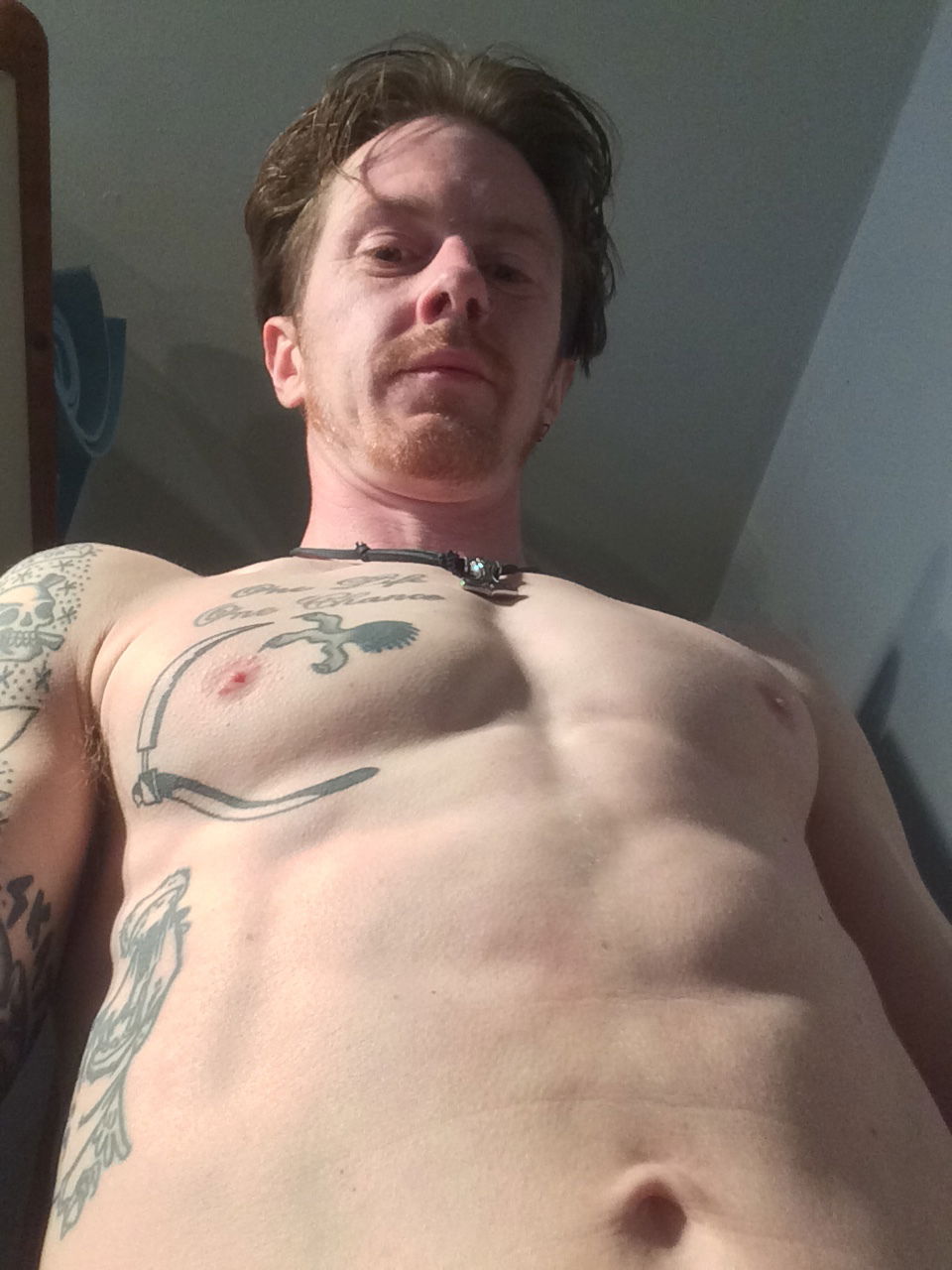 Banner of dickbangalot