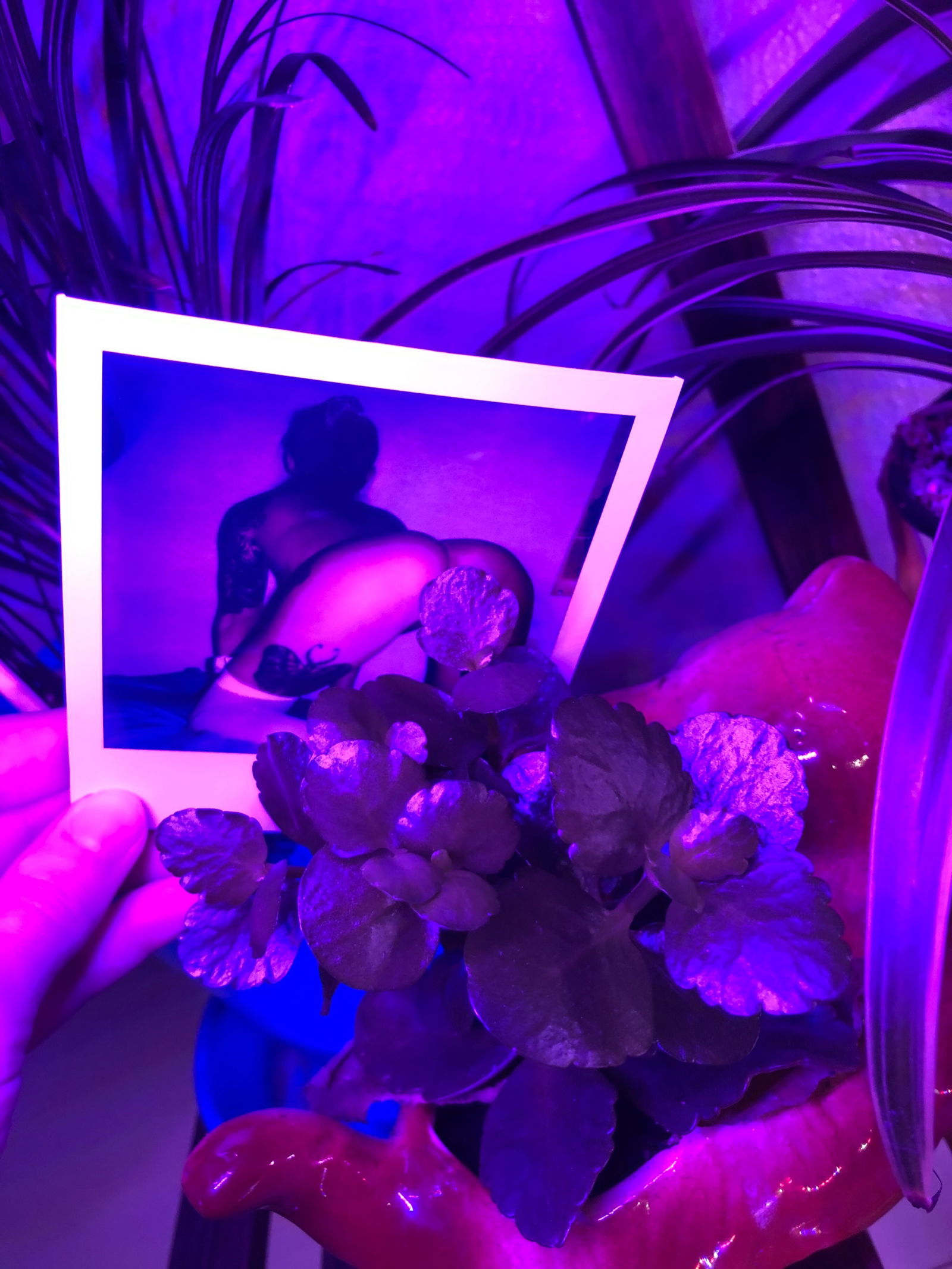Banner of emilyisakittenfree