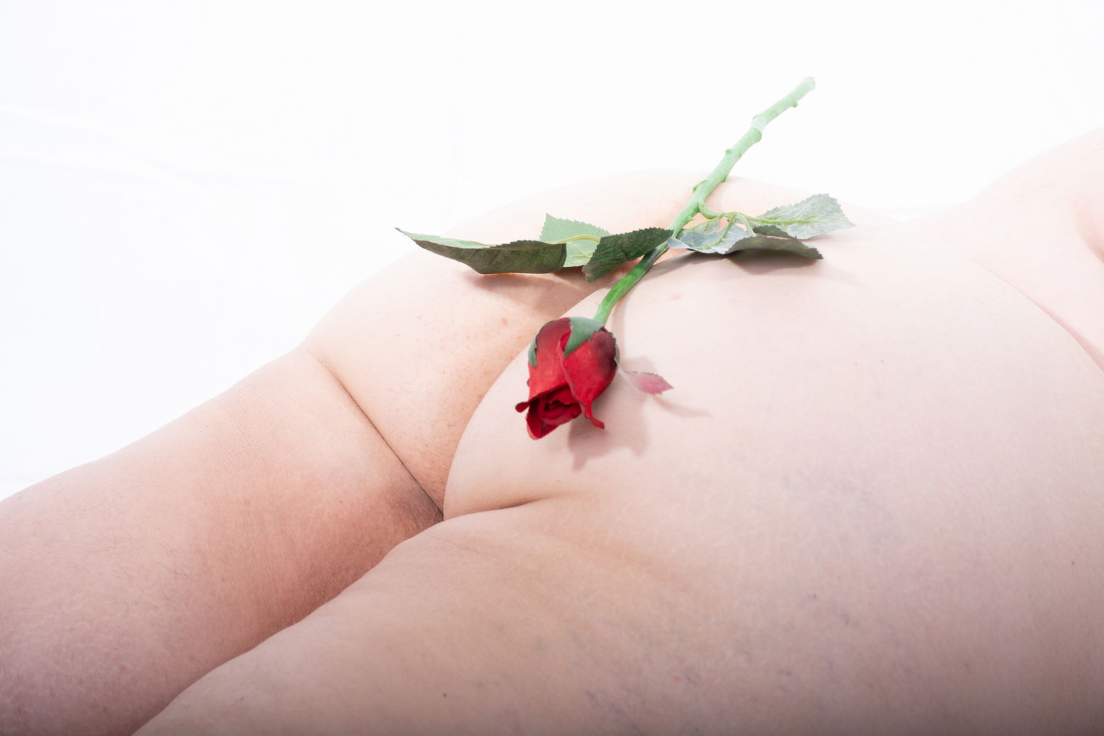 Banner of foxyrose
