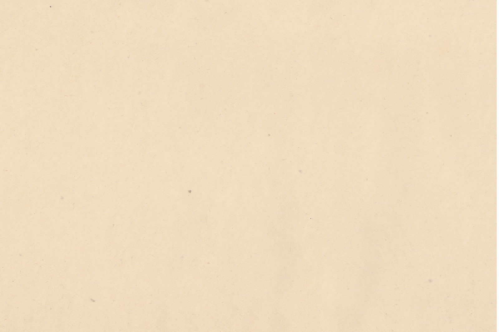 Banner of gussiegus