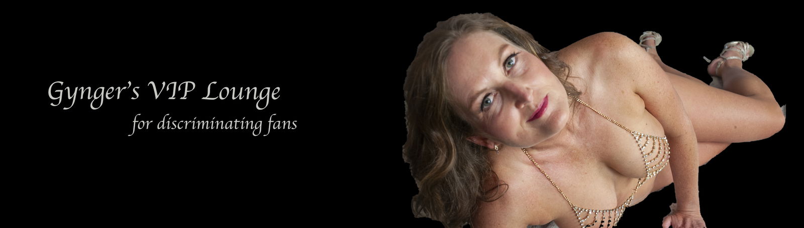 Banner of gyngersviplounge