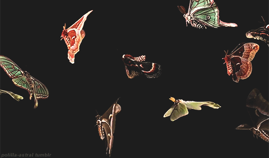 Banner of hishotwife63