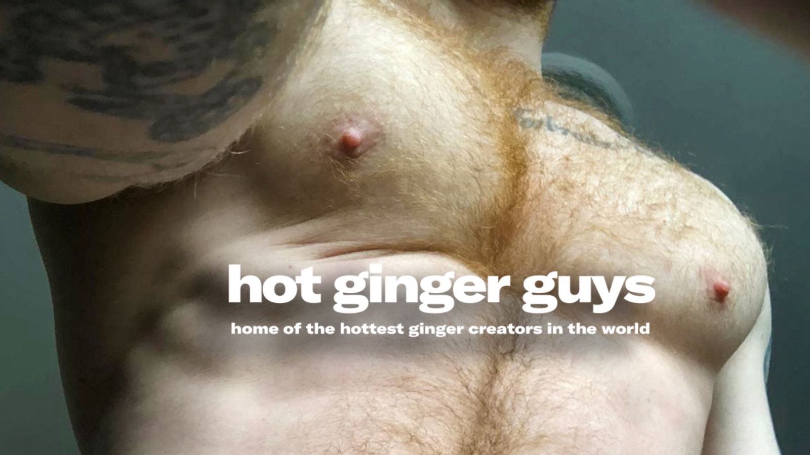 Banner of hotgingerguys