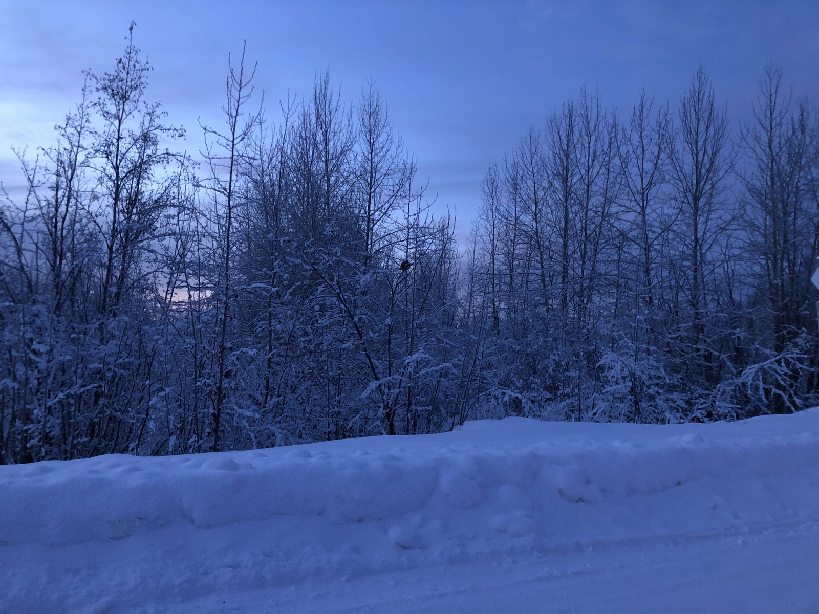 Banner of icy_rhoadz