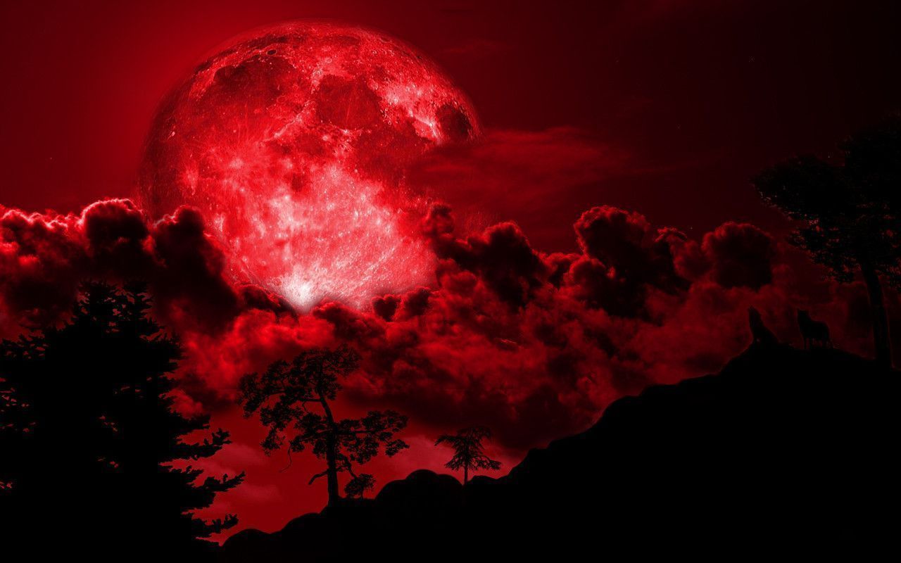 Banner of jadestoned69