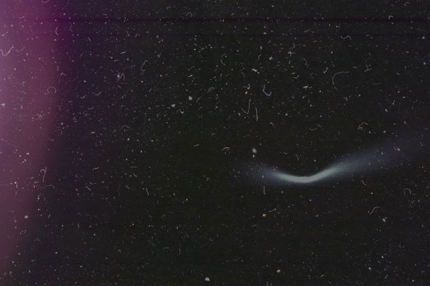 Banner of juniejoejango