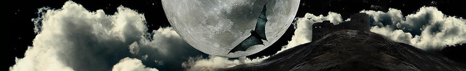 Banner of kirabaldridge