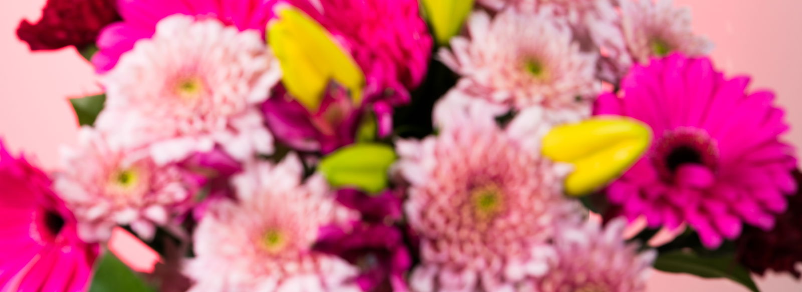 Banner of kitty_kat98