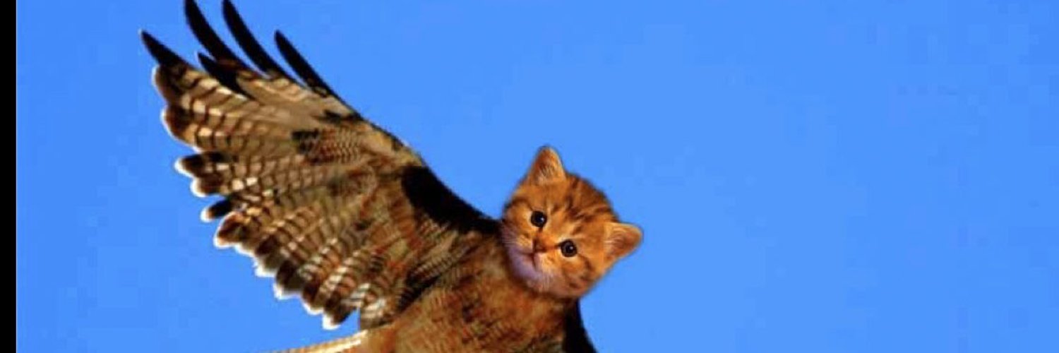 Banner of kittyhawkbb