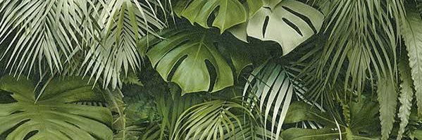 Banner of leliahsadexxx