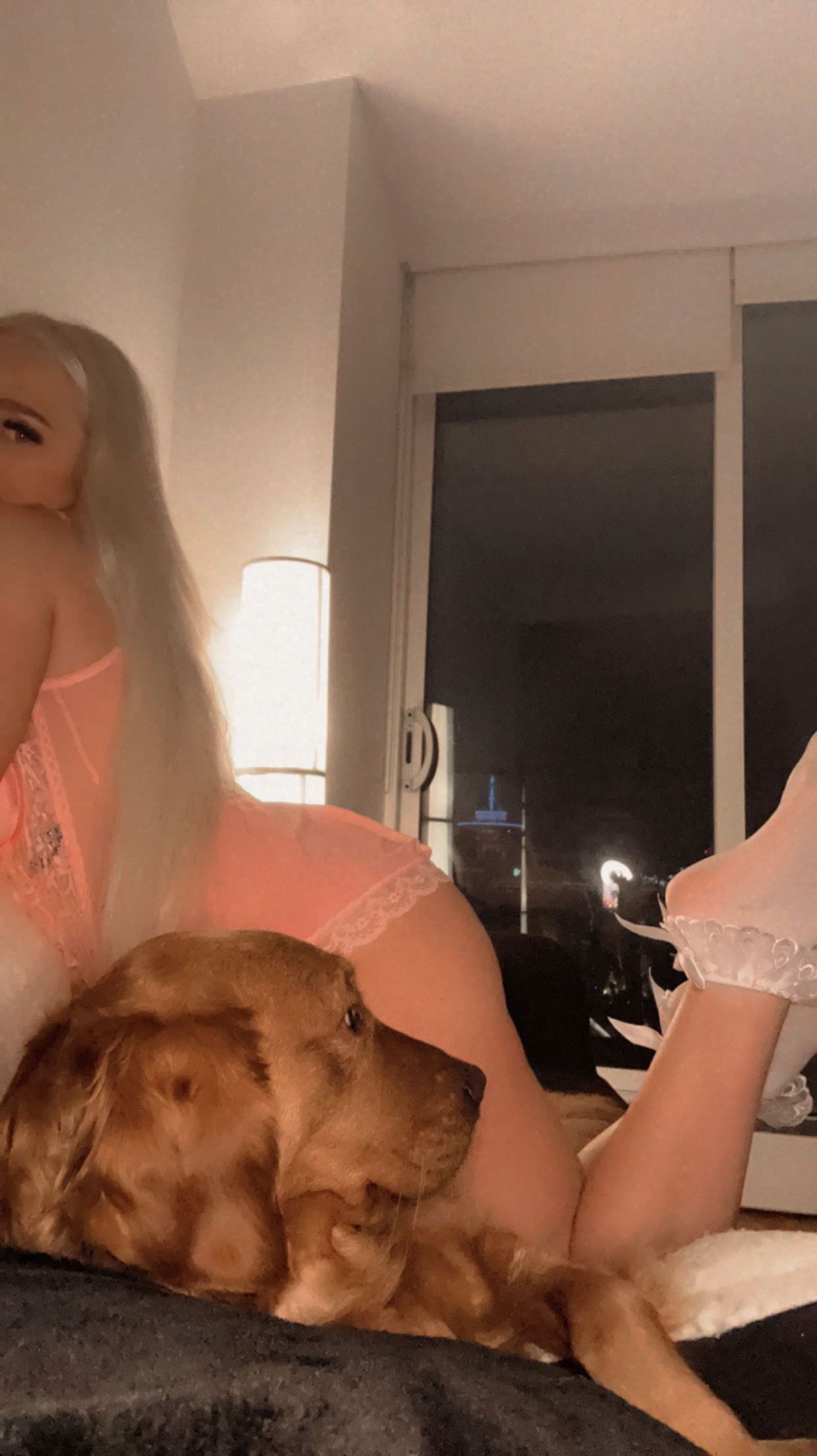 Banner of littlelexi