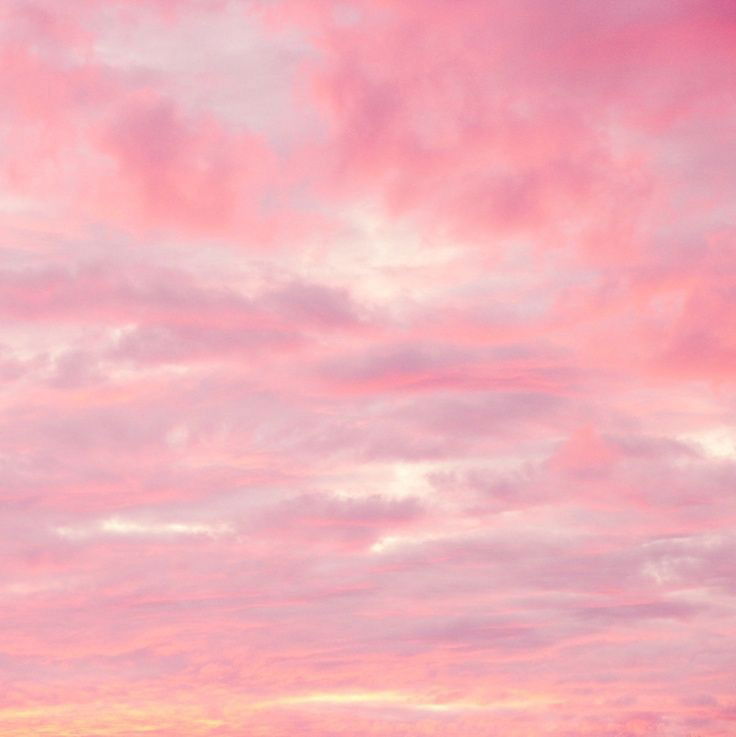 Banner of littlelunaa