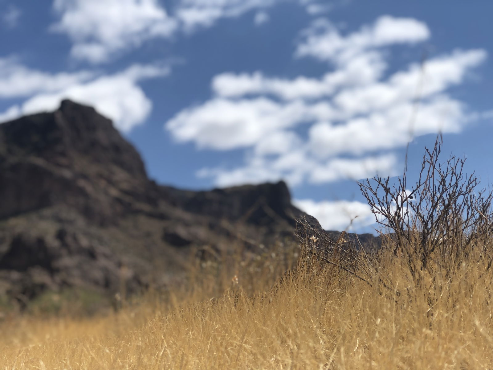 Banner of lizababy