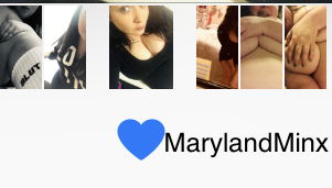 Banner of marylandminx