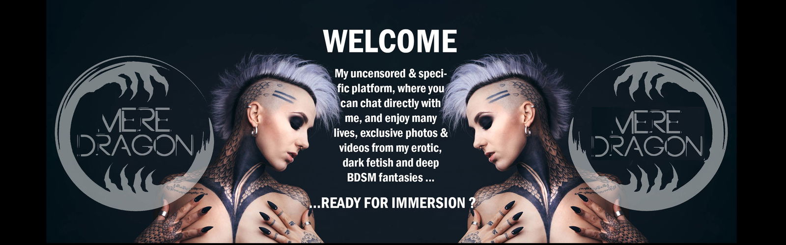 Banner of meredragon