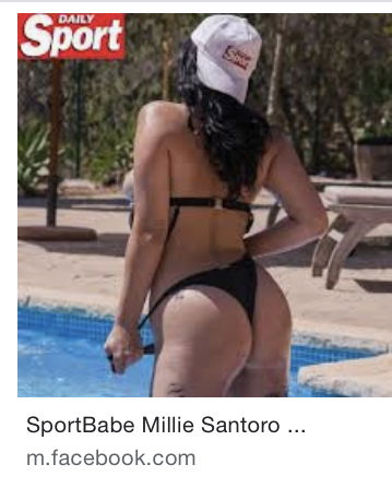 Banner of milliesantorox