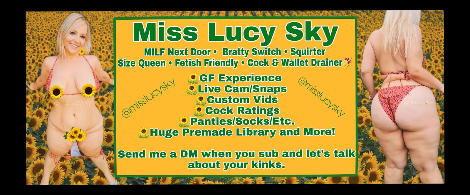 Banner of misslucysky