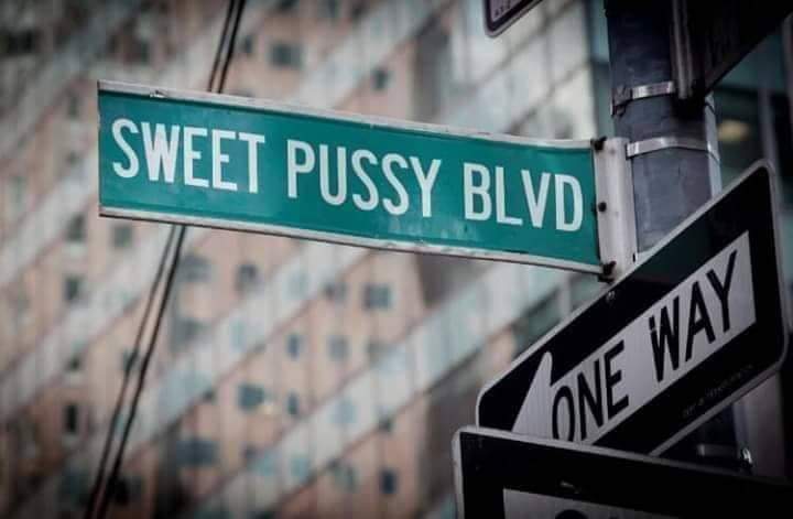 Banner of msnewpussy69