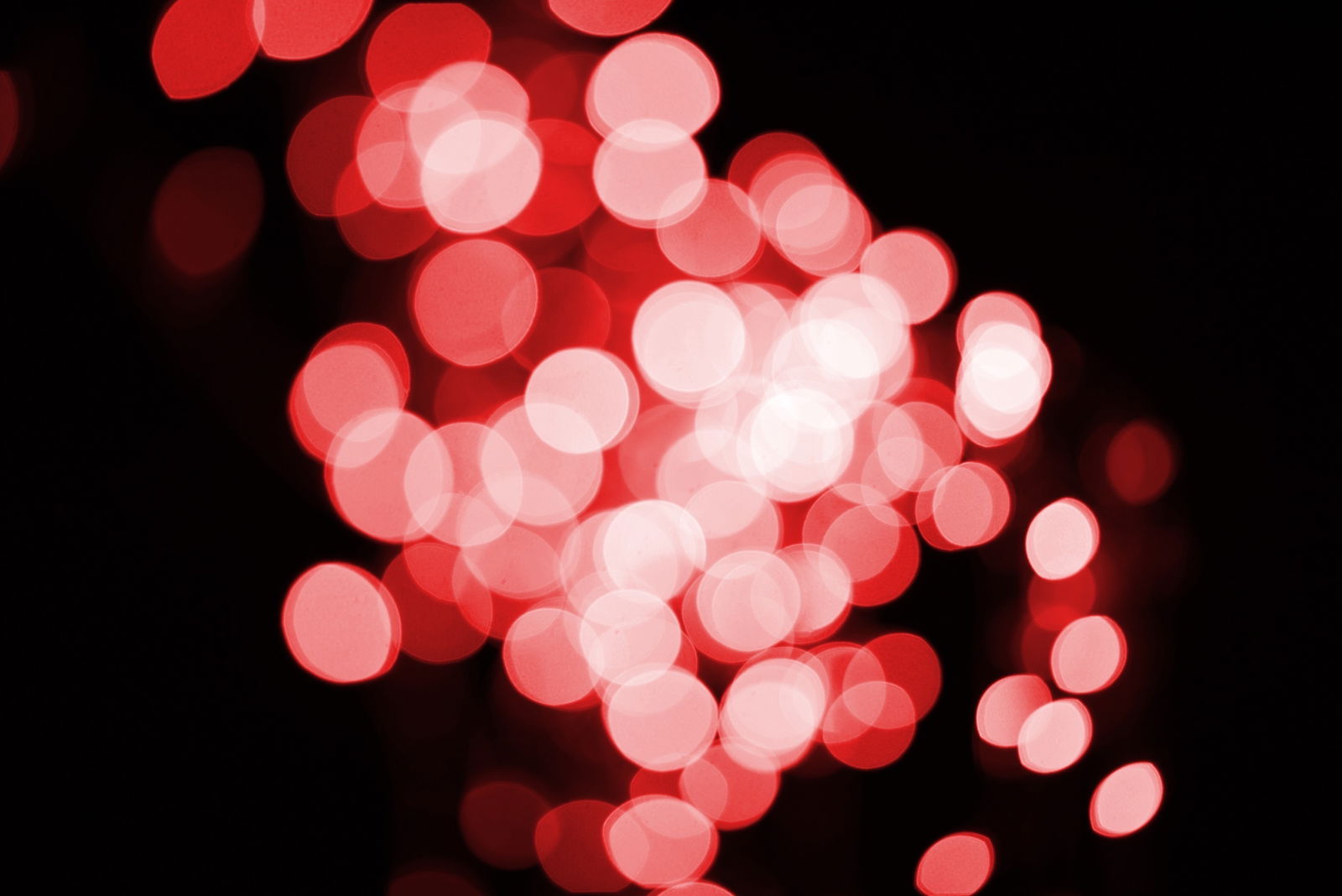 Banner of mz_rrose