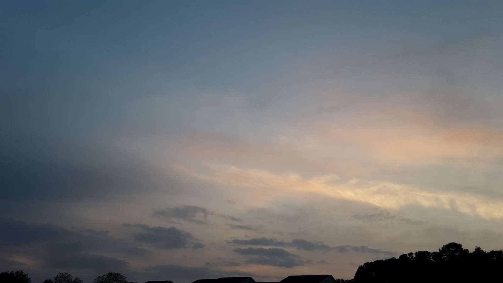 Banner of n42052169