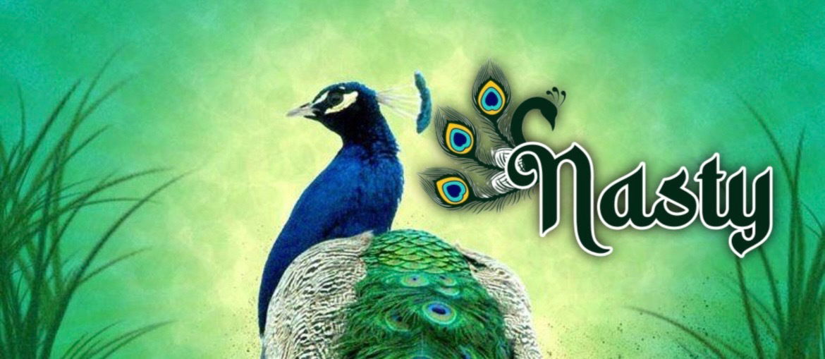 Banner of nastypeacock
