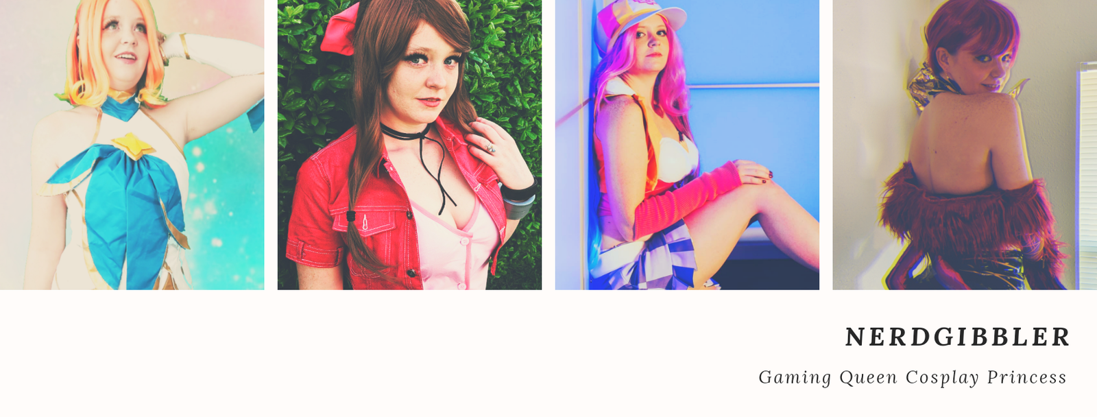 Banner of nerdgibbler